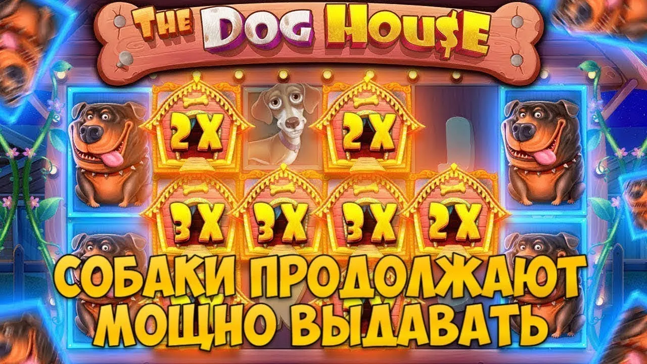 меллстрой и псы